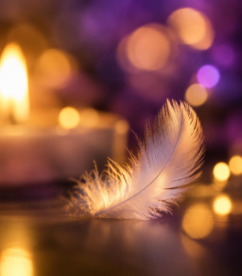 A soft white feather in candlelight